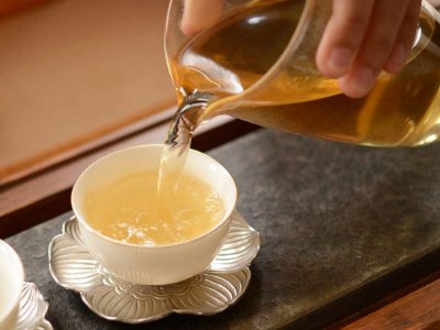 茶葉的專業(yè)知識，關(guān)于茶的基本知識大全