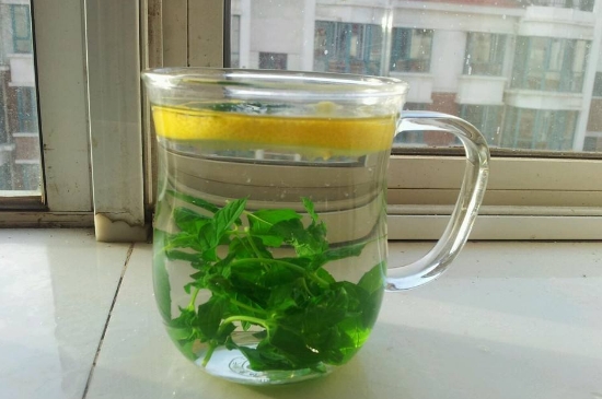 薄荷茶的功效與作用，喝薄荷茶有什么好處？