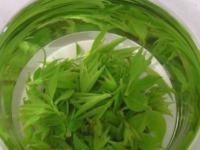 茶葉具有什么功效，茶葉的功效與作用大全