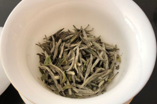 春茶上市白茶的好壞怎么區(qū)分，春白茶怎么分辨好不好？