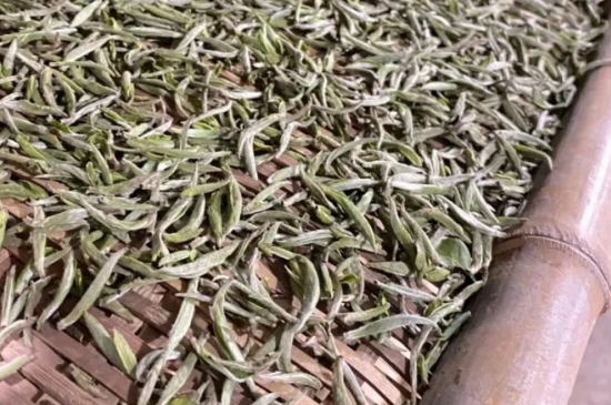 過期茶葉的八大妙用，過期的陳茶葉還能干什么用？
