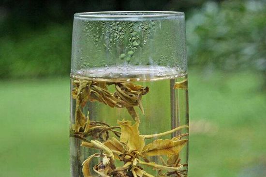 茉莉龍珠什么人不能喝，茉莉龍珠茶什么體質(zhì)不能喝？