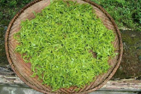 茅巖莓茶加工工藝，莓茶的工藝制作過(guò)程