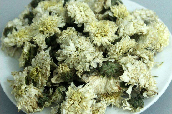 菊花茶買小朵還是大朵，泡茶用的小菊花和大菊花哪個(gè)好