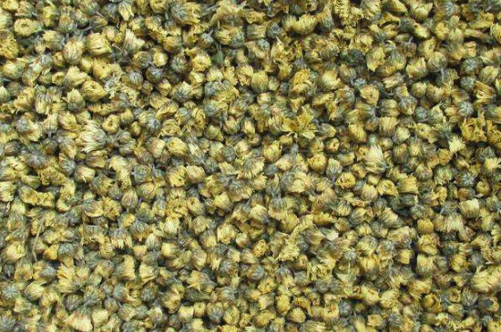 菊花茶大朵小朵有什么區(qū)別，菊花喝大朵還是小朵？