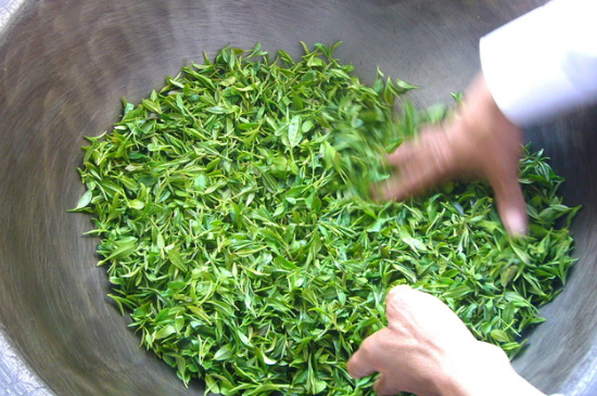 綠茶加工工藝流程圖，綠茶的加工制作包含哪幾個步驟？