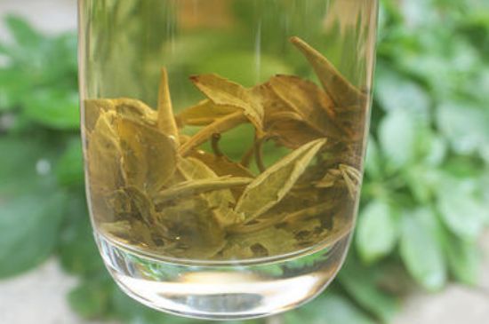 茉莉龍珠泡開后為什么都是梗，茉莉龍珠泡開后什么樣？