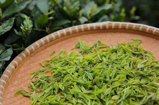 炒青綠茶與綠茶的區(qū)別，烘青和炒青哪個好喝？