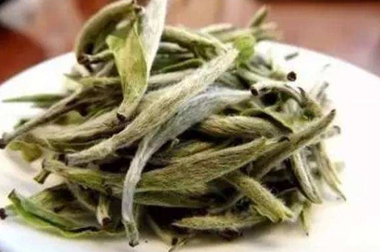 白茶三年為藥七年為寶的原理，為什么說一年茶三年藥七年寶？