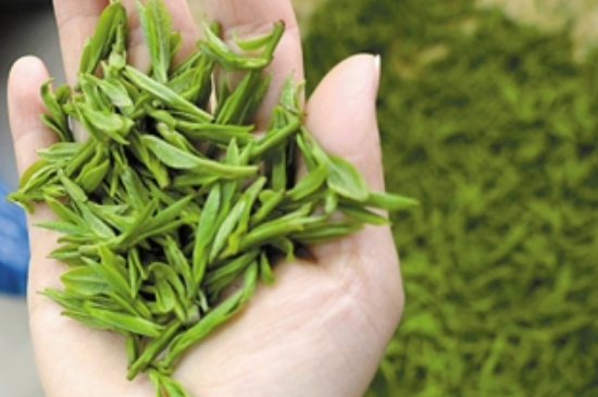 潮汕炒茶屬于什么茶，潮汕炒茶是綠茶嗎？