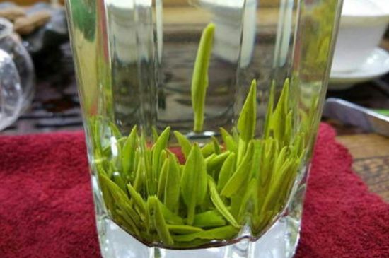 雀舌有一股青草味，雀舌為什么有青草味？
