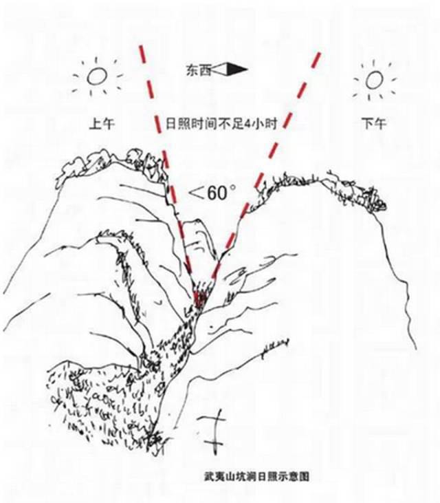 武夷山為什么盛產(chǎn)茶葉，武夷山茶為什么好喝？