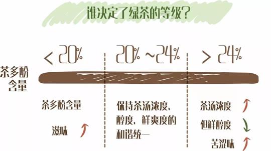 什么綠茶口味重口感濃郁，口味比較重的綠茶都有那些？