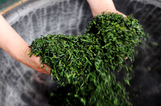 潮汕炒茶屬于什么茶，潮汕炒茶是綠茶嗎？