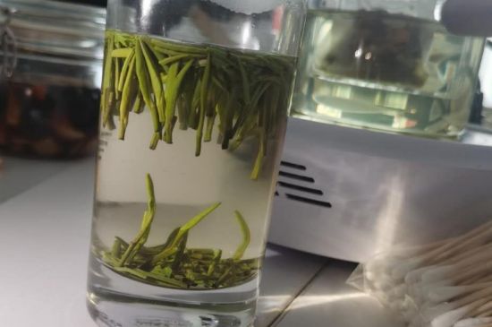 金壇雀舌算不算好茶，金壇雀舌屬于什么檔次茶葉？
