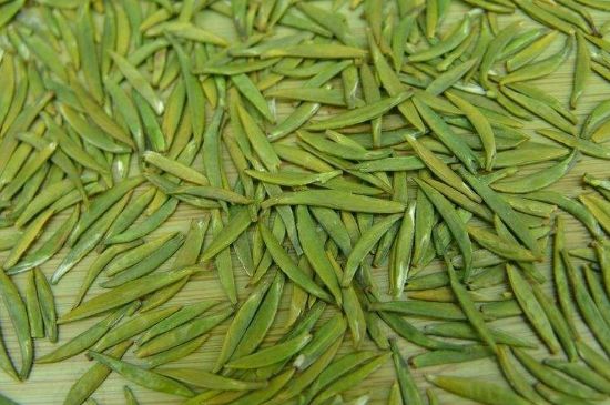 竹葉青和毛尖的區(qū)別，毛尖和竹葉青怎么分辨？