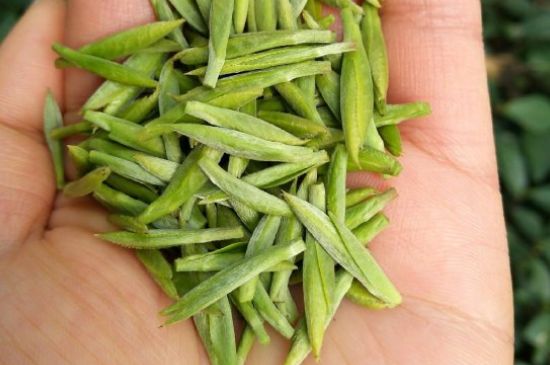 什么綠茶味道濃香，那個(gè)綠茶比較濃香？