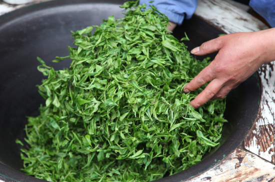 潮汕炒茶屬于什么茶，潮汕炒茶是綠茶嗎？