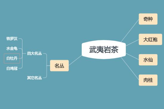 武夷巖茶品種大全，巖茶有幾種？