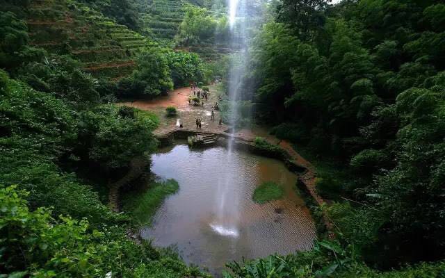 武夷山為什么盛產(chǎn)茶葉，武夷山茶為什么好喝？