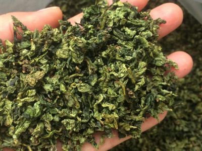 鐵觀音毛茶茶?？梢耘菟葐幔F觀音帶梗是不是好茶？