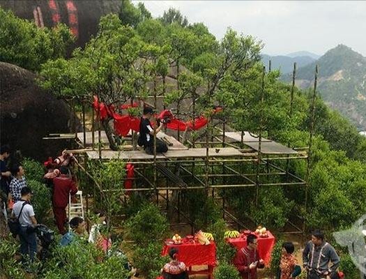 宋種一號價值為什么高，鳳凰單樅宋種1號價格與產(chǎn)量多少？