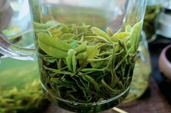 什么綠茶味道濃香，那個(gè)綠茶比較濃香？